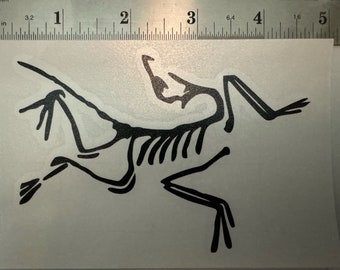Arc'teryx Sticker / Decal