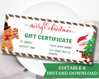Gift certificate template printable and editable, Christmas voucher printable, gift coupon template, christmas coupons, last minute gift