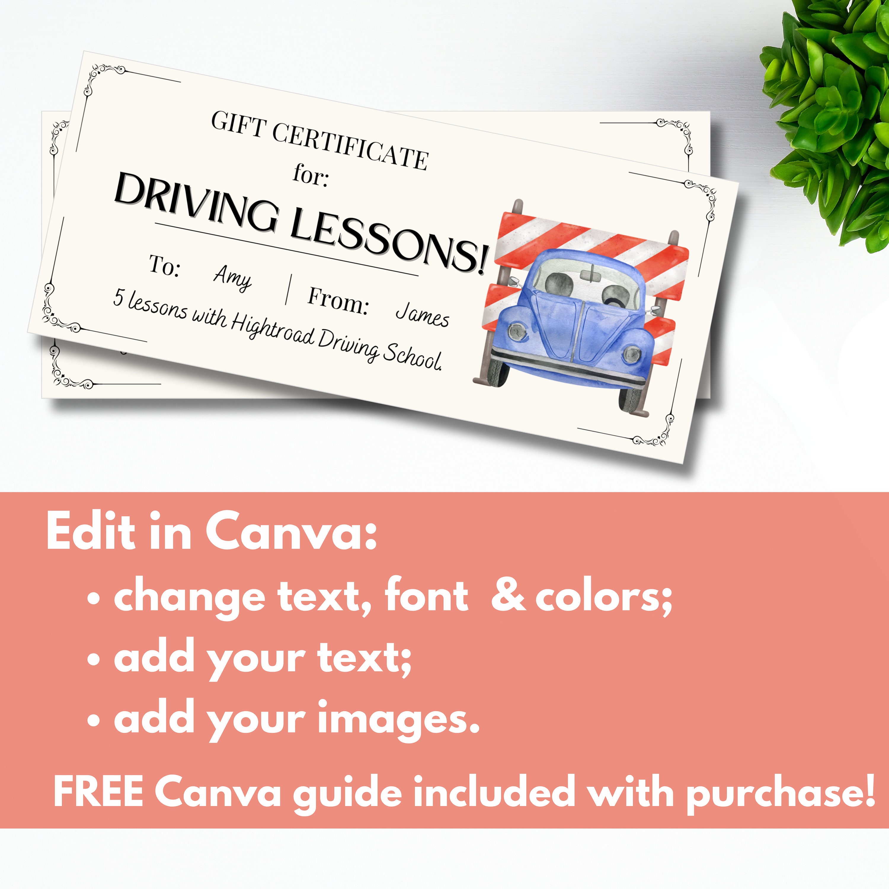 Driving Lessons Gift Certificate Template Editable, 16th Birthday Gift