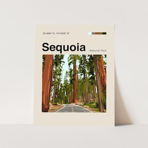 Sequoia Poster, Minimalist, Helvetica, Mid-Century Modern, Sequoia Travel Print, Italy Poster, Sequoia Wall Art, Sequoia National Park Print