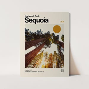 Sequoia National Park Poster, Minimalist, Helvetica, Mid-Century Modern, Sequoia National Park Wall Art, Sequoia National Park California
