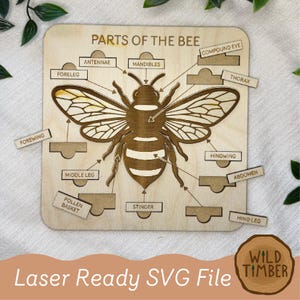 Montessori Bee Puzzle SVG: Teile der Biene Laser Cut File (Digitaler Download)