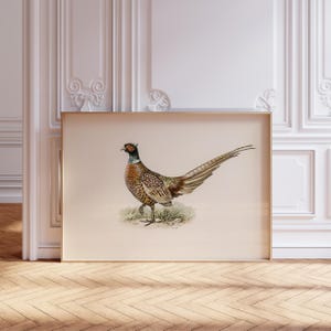 Ring-necked Pheasant Wall Print Hunting Cabin Home Decor Printable Wall Art Man Cave Aesthetic Game Bird Vintage Art Pheasant Print Bird Art