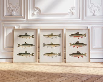 Trout Fish Wall Print Set of 3 Lake House Decor Printable Art Man Cave Aesthetic Cabin Decor Lake Trout Brooke Trout Rocky Mountain Trout