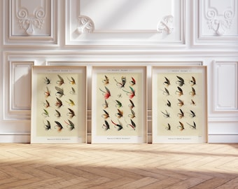 Vliegvissen muur print set van 3 Lake Home decor afdrukbare muur kunst man grot esthetische forel vintage kunst cadeau voor vissers cabine muur decor