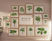 Palm Tree Wall Print Bundle Aesthetic Beach House Decor Printable Wall Art Tropical Plants Wall Decor Botanical Vintage Art Instant Download