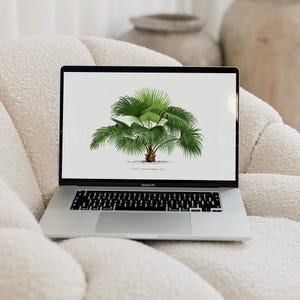May include: A laptop computer with a white background displaying a digital illustration of a green palm tree. The laptop is sitting on a white fluffy surface.