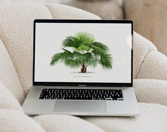 Set of 7 Palm Tree Wallpapers Computer Background Laptop Digital Download Wallpaper Vintage Art Wallpaper Tropical Botanical Backdrop Mac