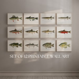 Freshwater Fish Wall Print Set Lake Home Decor Printable Wall Art Man Cave Aesthetic Gift for Fishermen Cabin Wall Decor Trout Bass Catfish
