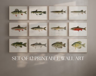 Freshwater Fish Wall Print Set Lake Home Decor Printable Wall Art Man Cave Aesthetic Gift for Fishermen Cabin Wall Decor Trout Bass Catfish
