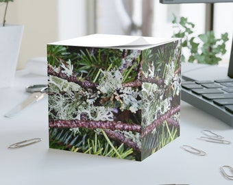 Lichen Note Cube