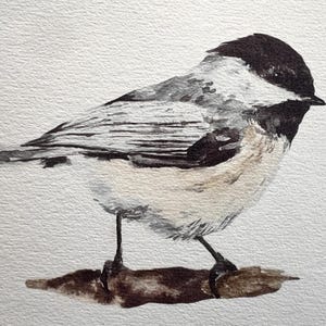 Chickadee Watercolor Print, Hand-Painted Gift, Art Print Gift For Animal Lover