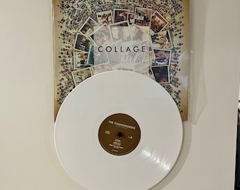 Vinyl Album Wall Mount - Damage Free Installation with Command Strips