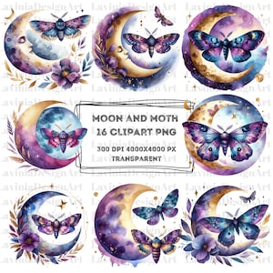Mond und Motte Clipart Aquarell | Motte Clipart Motte PNG | Mond Clipart | Mond PNG | Tier PNG | Tier Clipart