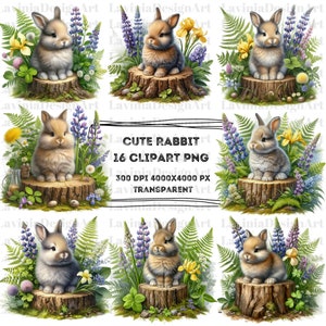 Cute Rabbit Clipart | Rabbit Watercolor | Rabbit PNG | Clipart | Bunny Clipart | Bunny Watercolor | PNG İmage