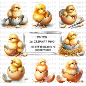 May include: A set of 16 digital clipart images featuring yellow chicks hatching from eggshells. The chicks are depicted in various poses, some with their beaks open, some with their eyes closed, and some with their wings spread. The eggshells are broken open, revealing the chicks inside. The images are set against a white background.