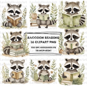 Clipart de livre de lecture de raton laveur | Raton laveur PNG | Livre de lecture sur les animaux | Animaux des bois | Retour à l'école