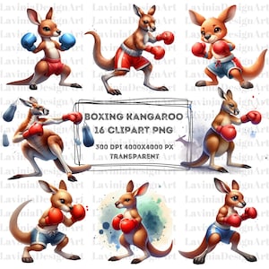 Boxen Känguru Clipart Aquarell | Känguru Clipart | Känguru Png | Tier Clipart | Tier Aquarell | Tier Png | Sport Clipart