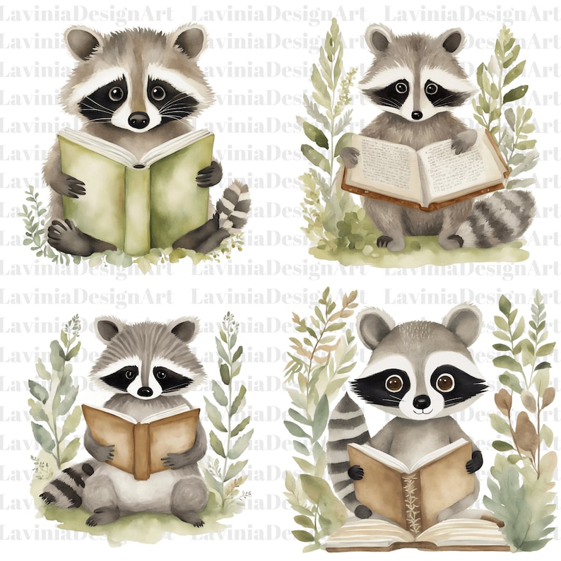 Raccoon Reading Book Clipart Raccoon PNG Animal Reading Book Woodland
