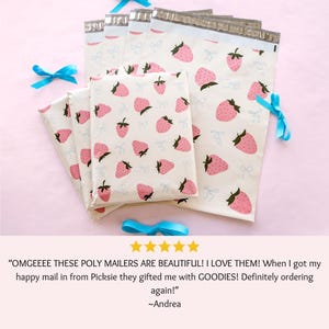 shipping bags poly mailing bags polymailers 10x13 shipping envelope pink poly mailer strawberry boho cottagecore trendy designer boutique polybag packaging summer mailers girly girl biz supplies