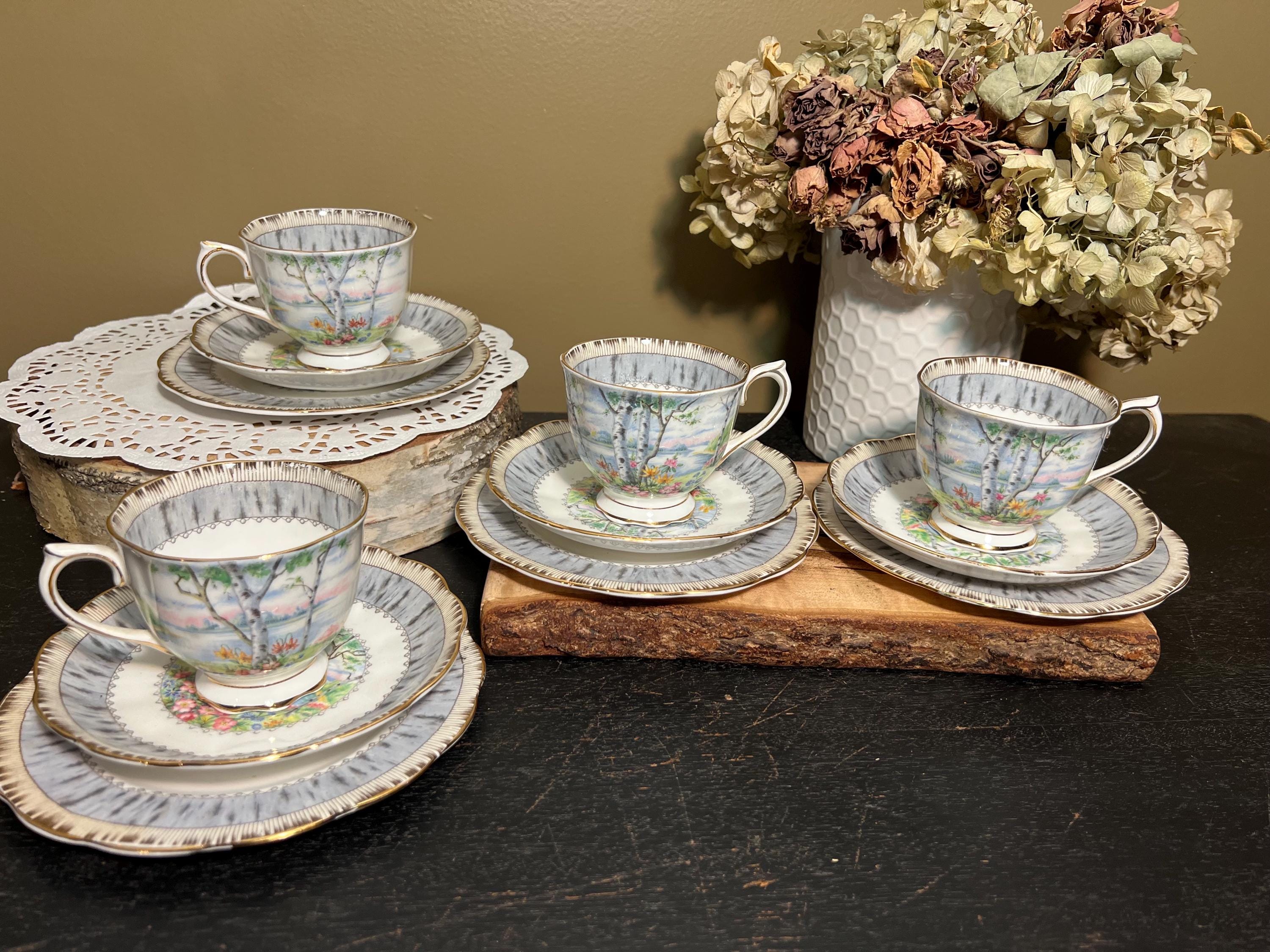 ①ロイヤル アルバート Silver Birch プレート　大皿　5枚　26cm ①ロイヤル アルバート Silver Birch プレート 大皿 5枚 26cm ②