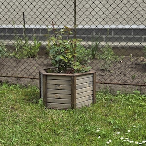 Blumenkasten | Rustikaler Gartentopf | Blumenbeet der Karpatenkiefer | Benutzerdefinierte Größen und Farben | Im Freien hölzernen Garten-Dekor