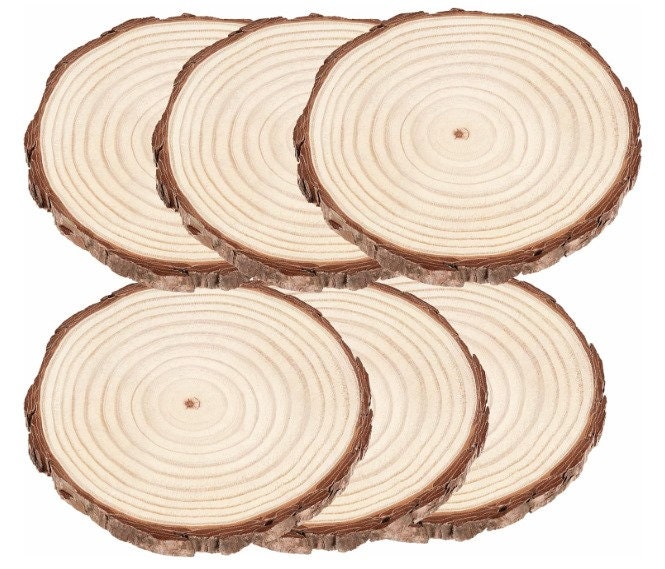  Set of (8) 10-10.9 inch wood slices! Natural wood