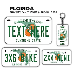 Novelty Florida Custom License Plate | Personalized ATV, bike, Mini & Keychain | UV-protected Aluminum