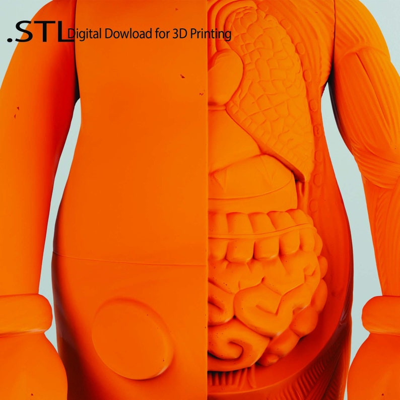 May include: Orange 3D printed model of a human figure with its internal organs visible. The model is split down the middle, revealing the organs in detail. The text '.STL Digital Dowload for 3D Printing' is visible in the top left corner.