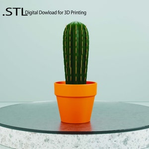 Cactus STL | 3D Print Toothpick Holder & Succulent Home Decoration