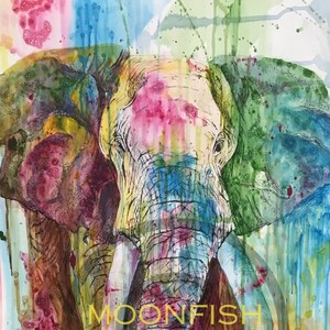 Technicolour Elephant