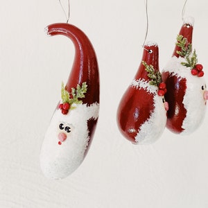 Santa Clause Gourd Ornament Set