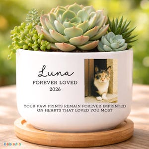 May include: White ceramic planter with a succulent arrangement, featuring a photo of a cat. The planter has the name "Luna", the text "FOREVER LOVED 2026", and a memorial message. It sits on a wooden saucer.