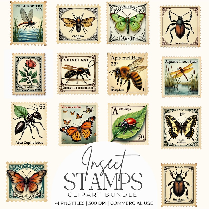 Vintage Insect Postage Stamp Clipart Bundle, Antique Entomology ...