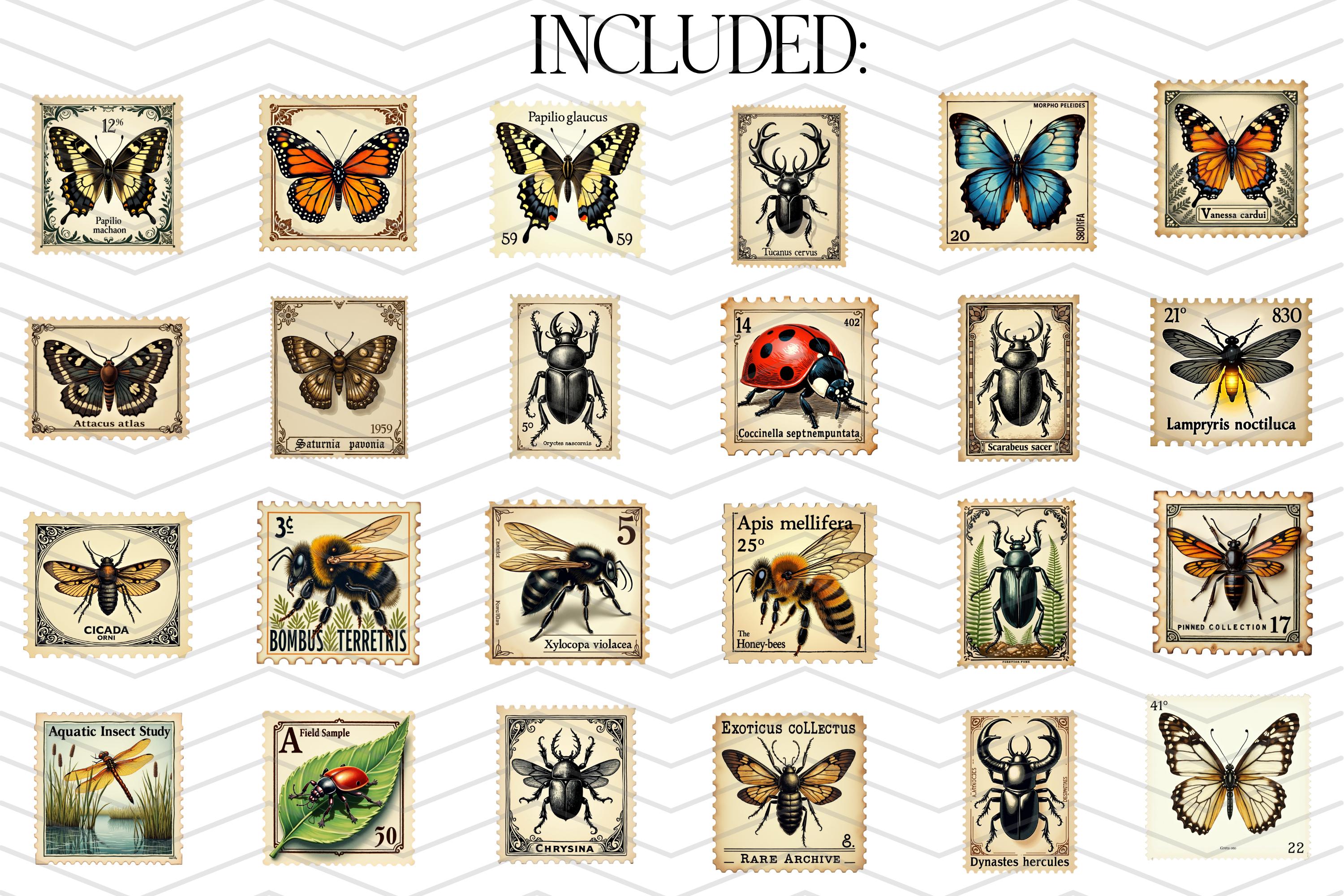 Vintage Insect Postage Stamp Clipart Bundle, Antique Entomology ...