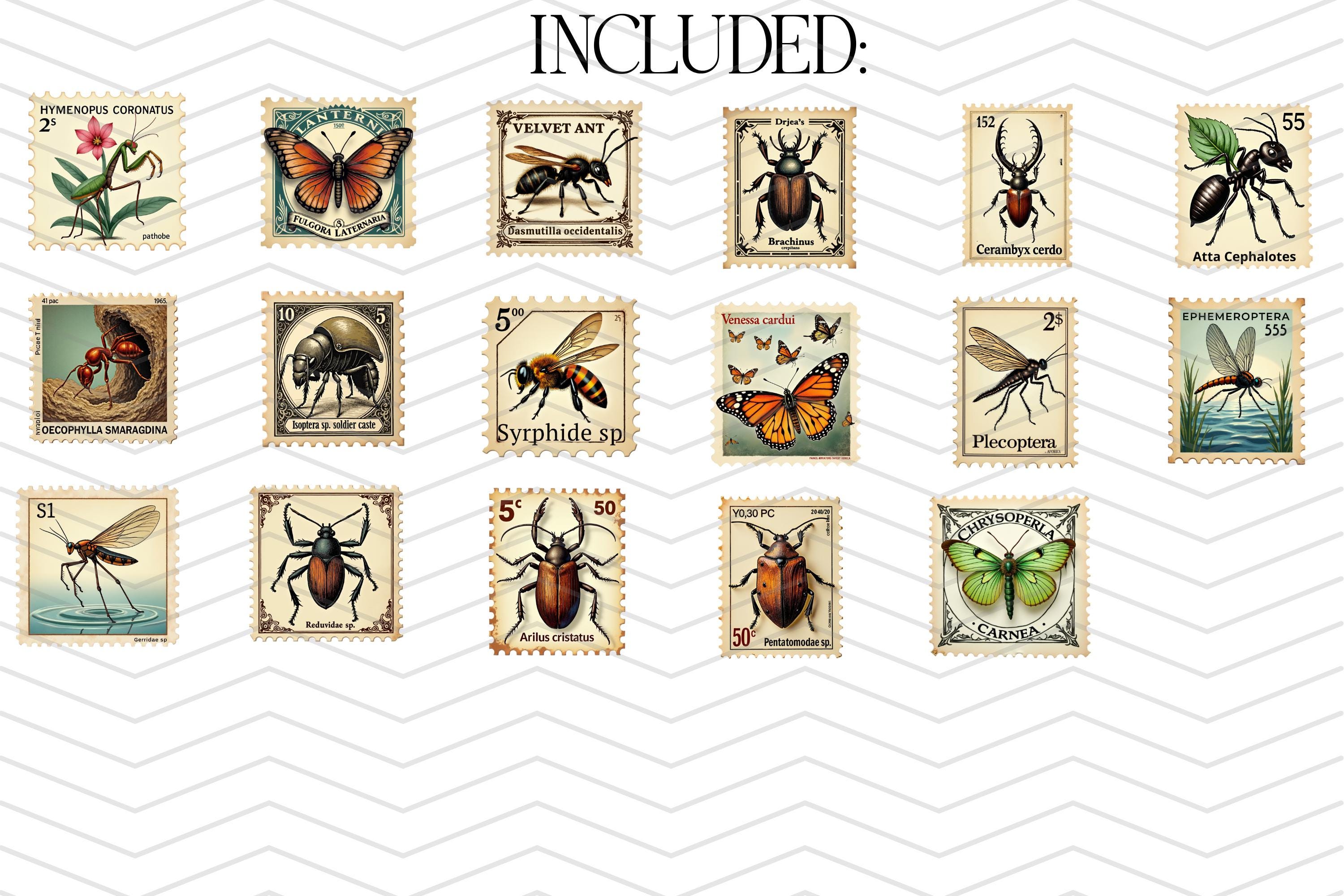 Vintage Insect Postage Stamp Clipart Bundle, Antique Entomology ...