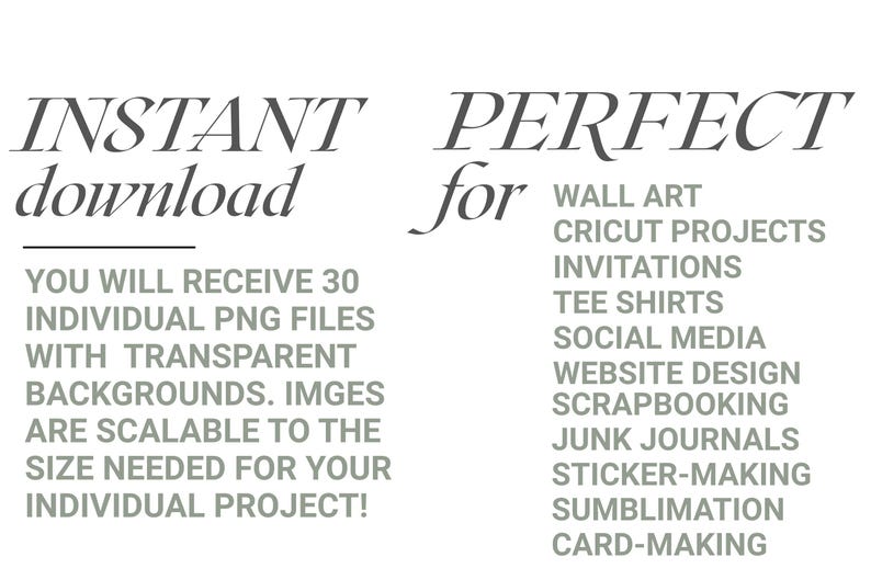 May include: An image with text that reads "INSTANT download" and "PERFECT for" followed by a list of creative projects. The text indicates the availability of 30 individual PNG files with transparent backgrounds, scalable for various projects.