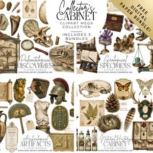 Peut inclure: Une collection numérique d'images clipart intitulée Collector's Cabinet présentant des illustrations de fossiles, crânes de dinosaures, cristaux, spécimens géologiques, artefacts anciens, casques romains, masques égyptiens, papillons et éléments d'histoire naturelle.
