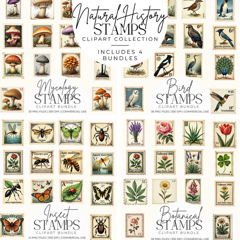 Vintage Insect Postage Stamp Clipart Bundle, Antique Entomology ...