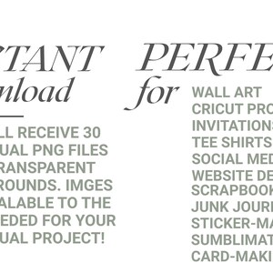 Op de afbeelding: Tekstafbeelding met de woorden "INSTANT download" en "PERFECT for" boven een lijst met projecttypen. De tekst vermeldt dat je 30 individuele PNG-bestanden met transparante achtergronden ontvangt, schaalbaar voor je project.