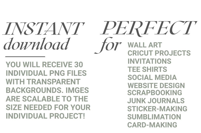 Op de afbeelding: Tekstafbeelding met de woorden "INSTANT download" en "PERFECT for" boven een lijst met projecttypen. De tekst vermeldt dat je 30 individuele PNG-bestanden met transparante achtergronden ontvangt, schaalbaar voor je project.