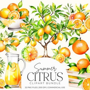 Summer Citrus Clipart Bundle, Lemons, Limes and Oranges Clip Art, Watercolor Lemon PNG Graphics, Citrus Slices Images, Commercial Use