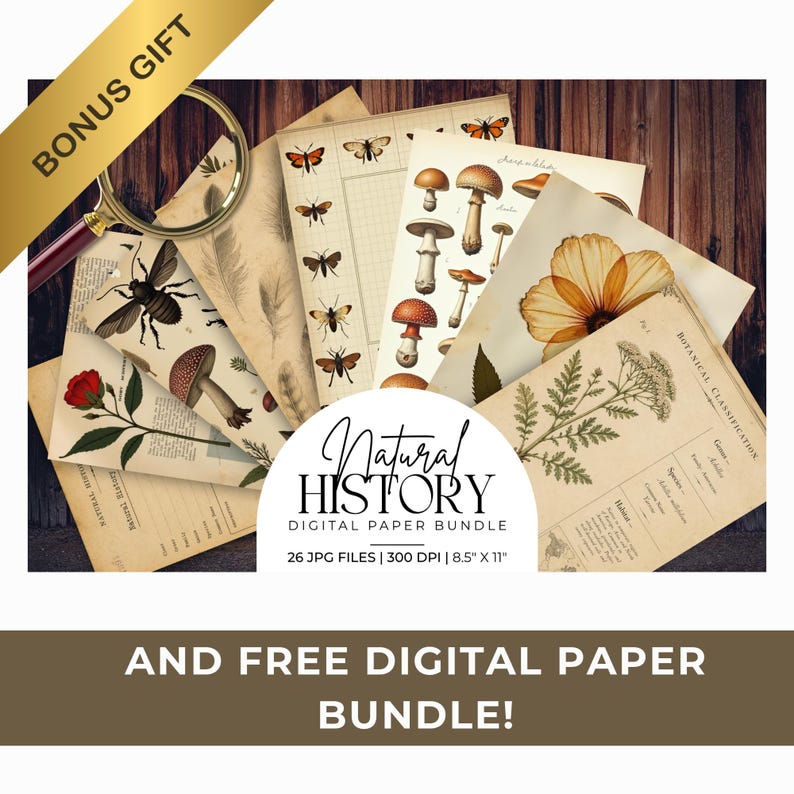 K&ouml;nnte beinhalten: Eine Sammlung von digitalen Papieren im Vintage-Stil mit botanischen Illustrationen von Blumen, Insekten und Pilzen. Die Papiere sind f&auml;cherf&ouml;rmig angeordnet, mit einer Lupe und einem goldenen Band mit der Aufschrift "BONUS GIFT". Das Bundle enth&auml;lt 26 JPG-Dateien, 21,59 cm x 27,94 cm.