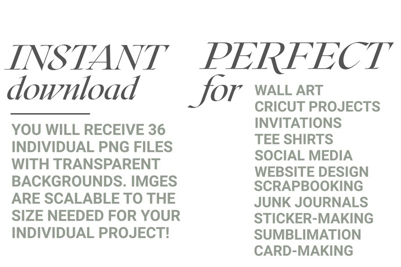 May include: An image with the words "INSTANT download" in a stylish font. Text below states that you will receive 36 individual PNG files with transparent backgrounds, scalable for your project. The word "PERFECT" is above a list of project types.
