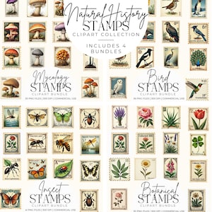 K&ouml;nnte beinhalten: Eine Sammlung von Briefmarken im Vintage-Stil mit Themen der Naturgeschichte. Das Set enth&auml;lt vier Bundles: Mykologie, Vogel, Insekt und Botanik. Jede Briefmarke zeigt detaillierte Illustrationen von Pilzen, V&ouml;geln, Insekten und Blumen.