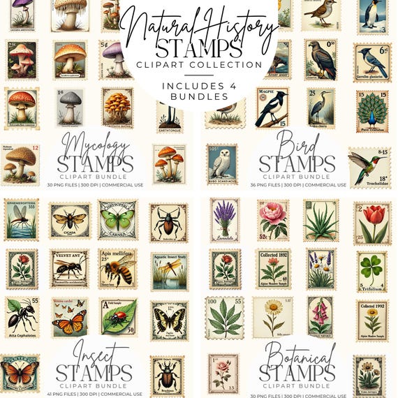 The Natural History Postage Stamp Clipart Bundle, Vintage Botanical Insect Bird Fungi Stamp Collection + Antique Museum Paper Collage Set