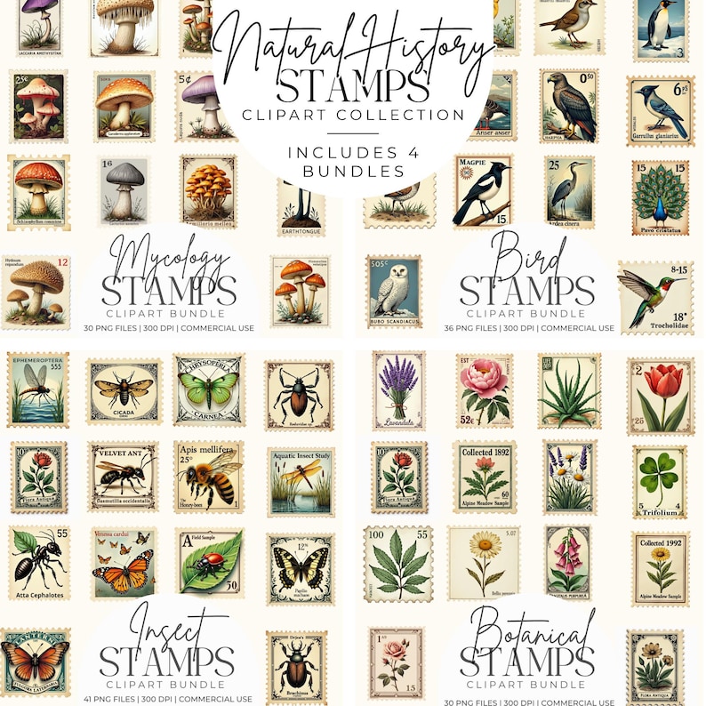 K&ouml;nnte beinhalten: Eine Sammlung von Briefmarken im Vintage-Stil mit Themen der Naturgeschichte. Das Set enth&auml;lt vier Bundles: Mykologie, Vogel, Insekt und Botanik. Jede Briefmarke zeigt detaillierte Illustrationen von Pilzen, V&ouml;geln, Insekten und Blumen.