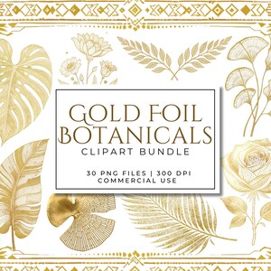 Clipart Botânico de Folha de Ouro – Conjunto de PNG de Arte de Linha Elegante, Elementos Florais e Folhas, Design de Logotipo de Casamento, Gráficos de Fundo Transparente