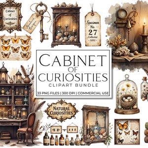 Puede incluir: Ilustración en acuarela con el tema "Gabinete de Curiosidades". La imagen presenta varios objetos antiguos como mariposas, una llave, un reloj de bolsillo, etiquetas de especímenes y una calavera, todo dispuesto en un estilo vintage. El texto "Cabinet of Curiosities" se muestra.