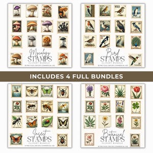 K&ouml;nnte beinhalten: Eine Sammlung von vier Stempel-Bundles mit botanischen, Insekten-, Vogel- und Mykologie-Themen. Jeder Stempel hat eine Vintage-&Auml;sthetik mit detaillierten Illustrationen von Pilzen, V&ouml;geln, Insekten und Pflanzen. Der Text enth&auml;lt "Mycology Stamps", "Bird Stamps", "Insect Stamps" und "Botanical Stamps".